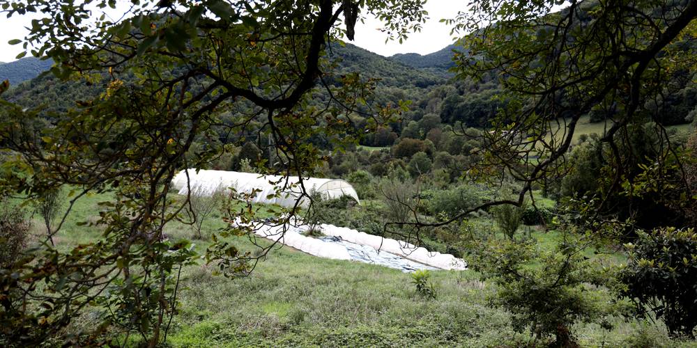  La fruiterie de Peyort (Occitanie, Ariège)