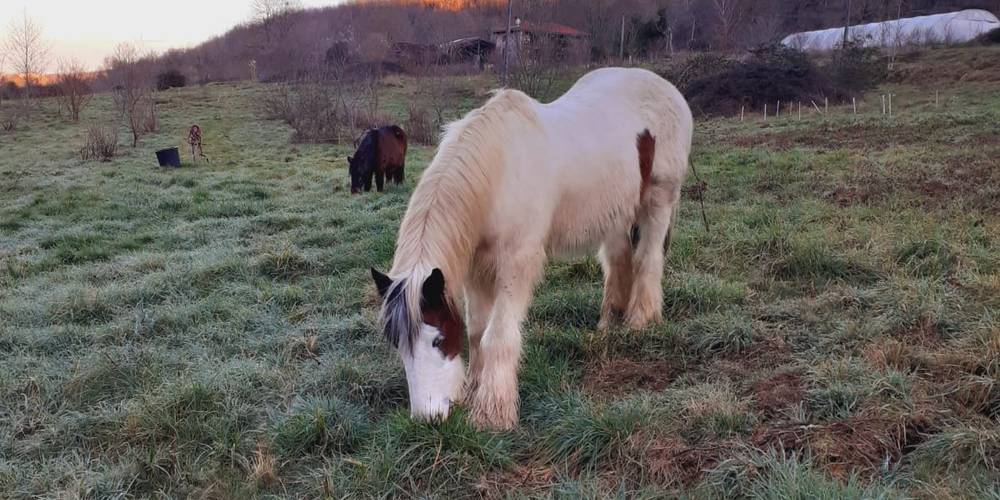  La fruiterie de Peyort (Occitanie, Ariège)