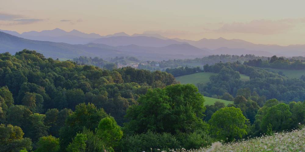  La Pensée Sauvage, conviviality and rejuvenation with medicinal plants (Occitanie, Ariège)