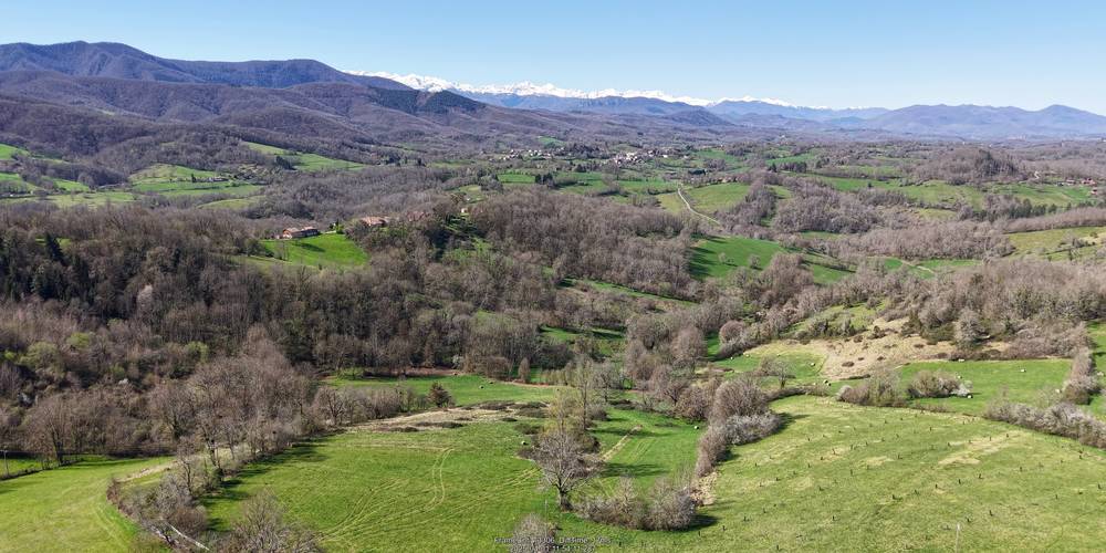  La Pensée Sauvage, conviviality and rejuvenation with medicinal plants (Occitanie, Ariège)