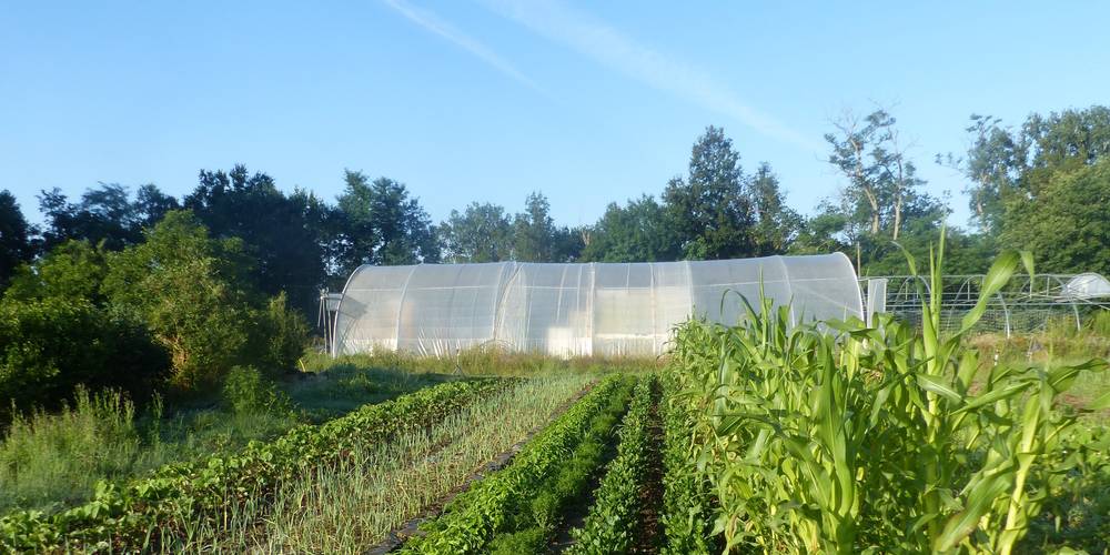  Ferme de Manelphe (Occitanie, Tarn)