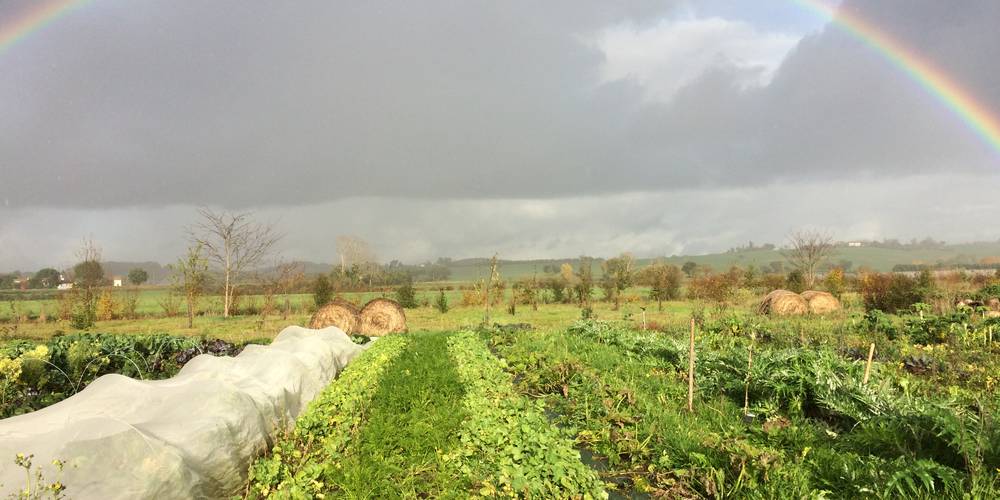  Ferme de Manelphe (Occitanie, Tarn)