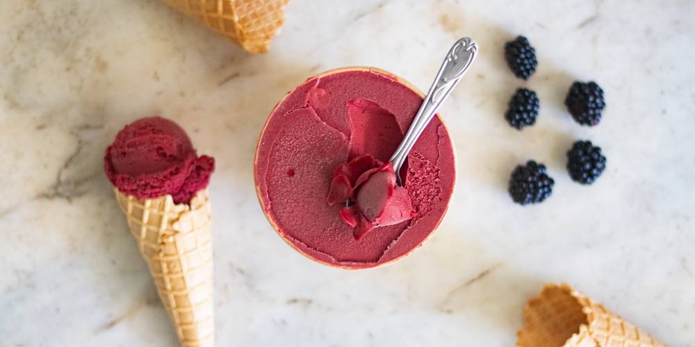 mioum! -  Gîte La Prunelle (Occitanie, Ariège)