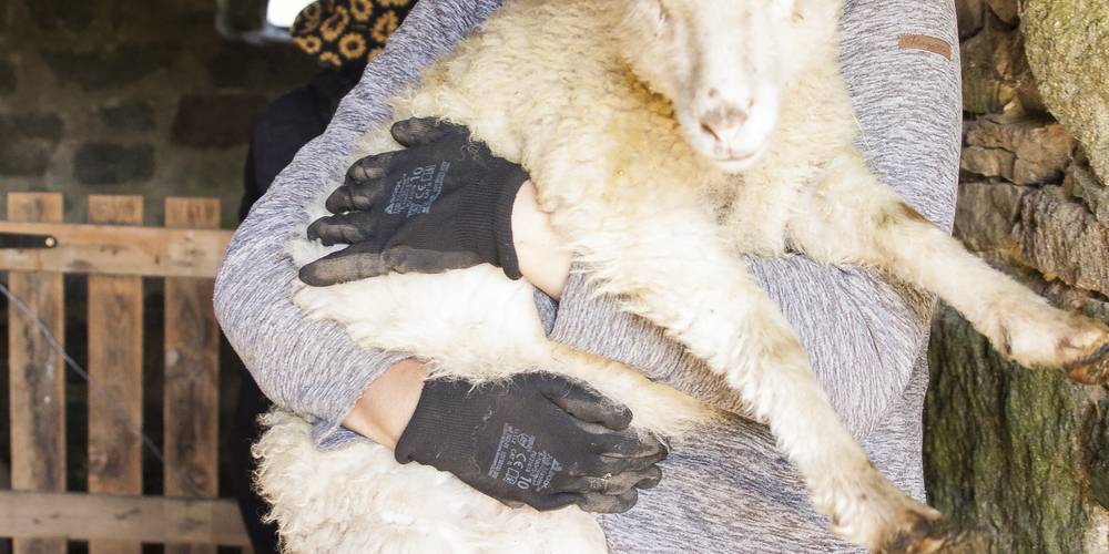  Les jardins d'Hayden (Normandie, Calvados)