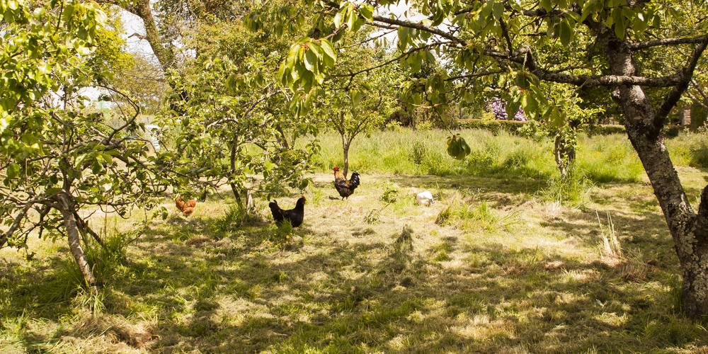  Les jardins d'Hayden (Normandie, Calvados)
