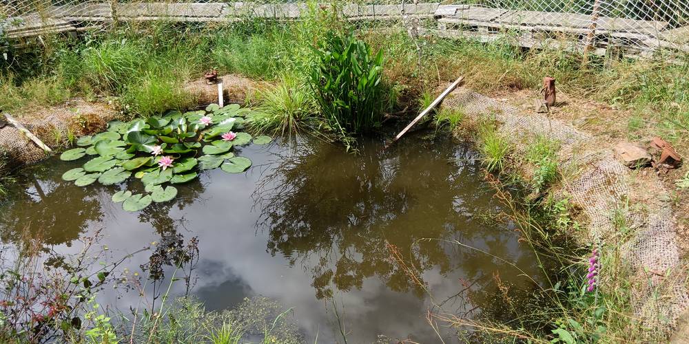  La Grignette (Auvergne-Rhône-Alpes, Rhône)