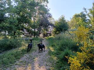  La Grignette (Auvergne-Rhône-Alpes, Rhône)