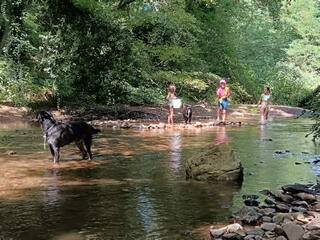  La Grignette (Auvergne-Rhône-Alpes, Rhône)