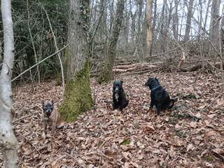  La Grignette (Auvergne-Rhône-Alpes, Rhône)