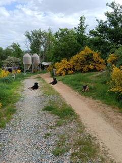  La Grignette (Auvergne-Rhône-Alpes, Rhône)