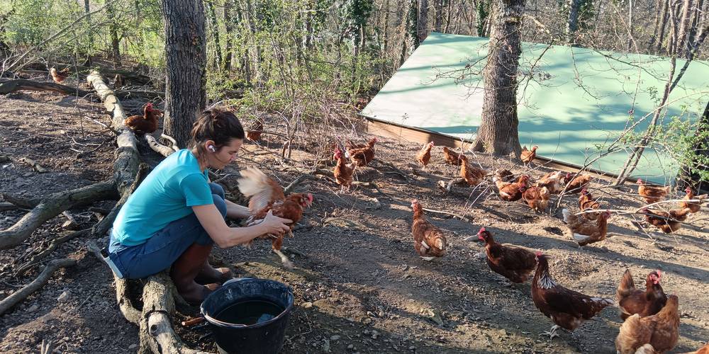  La Grignette (Auvergne-Rhône-Alpes, Rhône)