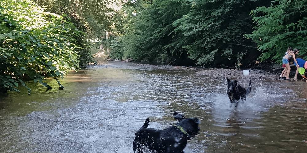  La Grignette (Auvergne-Rhône-Alpes, Rhône)