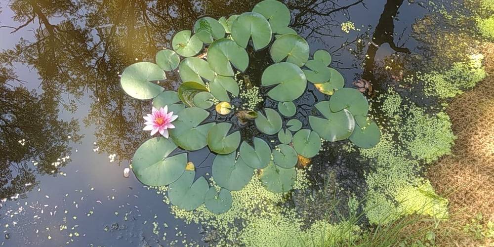  La Grignette (Auvergne-Rhône-Alpes, Rhône)
