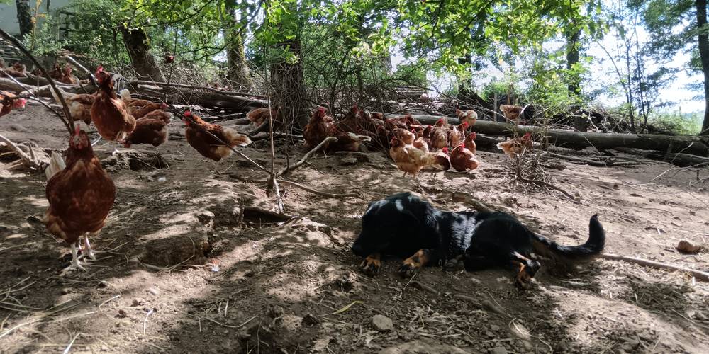  La Grignette (Auvergne-Rhône-Alpes, Rhône)