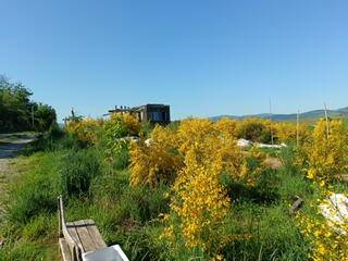  La Grignette (Auvergne-Rhône-Alpes, Rhône)