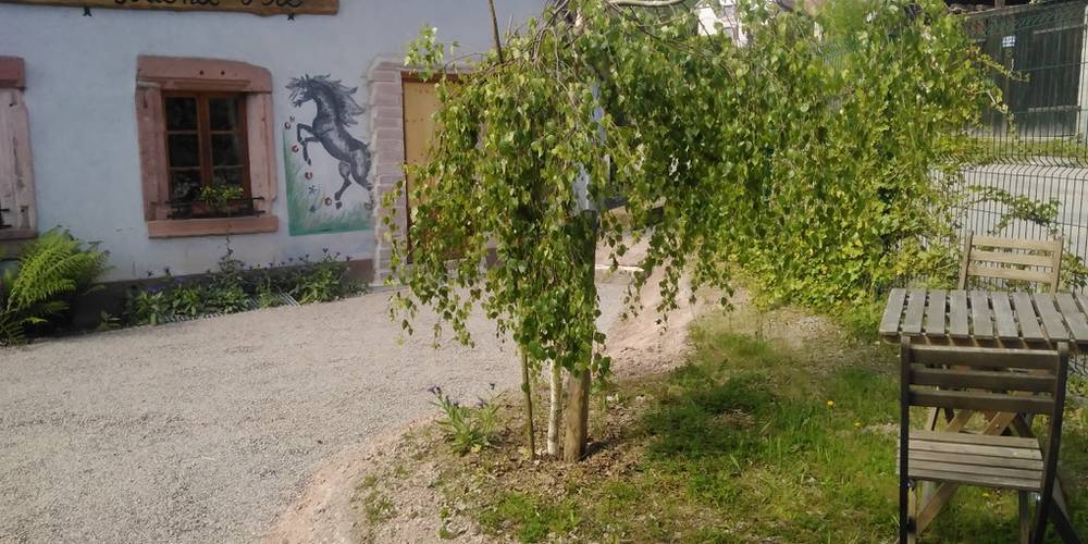  Gîte du grand pré (Grand Est, Bas-Rhin)