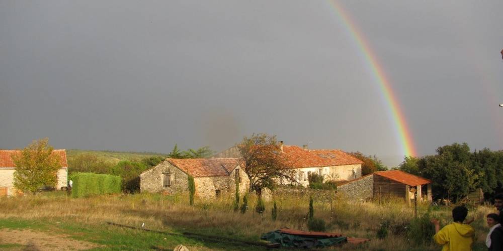  LA FERME DES BOUQUETS (Occitanie, Hérault)
