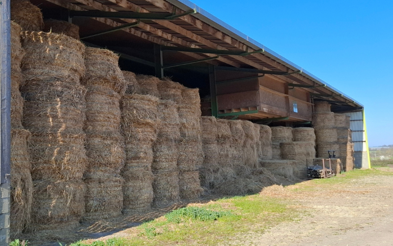 Le stock de fourrage et le sèchage de foin en grange -  La Croisée des Chemins (Pays de la Loire, Maine-et-Loire)