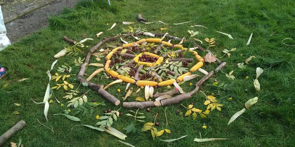 ateliers nature- land art -  ALTHEA (Hauts-de-France, Nord)