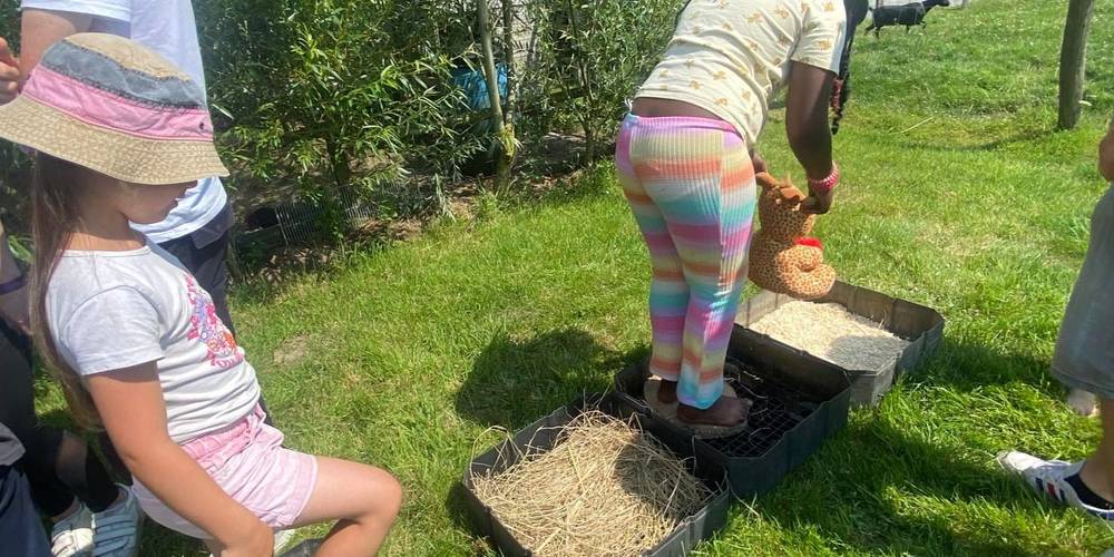 atelier nature - parcours sensoriel -  ALTHEA (Hauts-de-France, Nord)