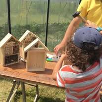 ateliers nature - insectes -  ALTHEA (Hauts-de-France, Nord)