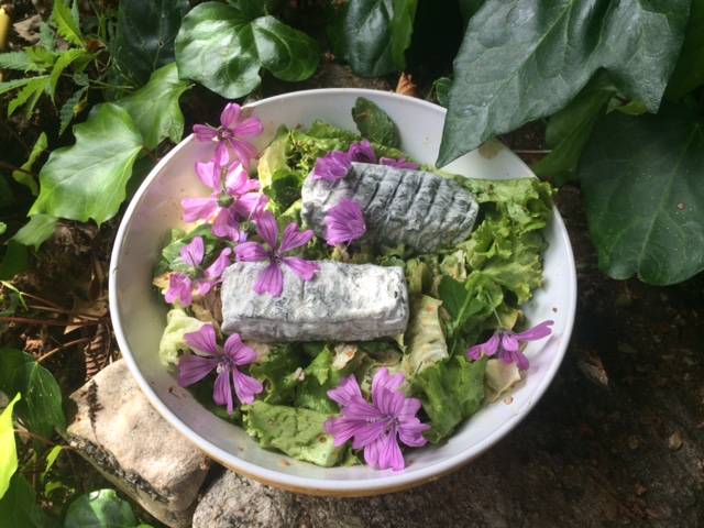 Fromage de chèvre maison -  Ferme de Cabessières (Occitanie, Aveyron)