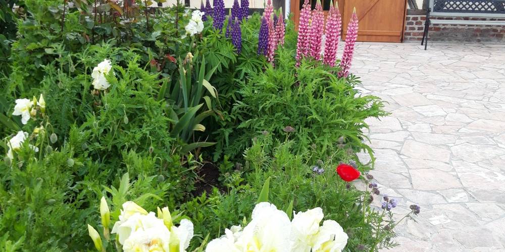  Chez Evelyne et Jean   LA FERME DE LA SEINE (Normandie, Seine-Maritime)