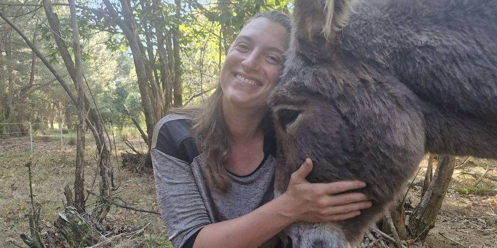 L'âne est un animal doux et tendre -  LOC D'ÂNES (Occitanie, Aude)