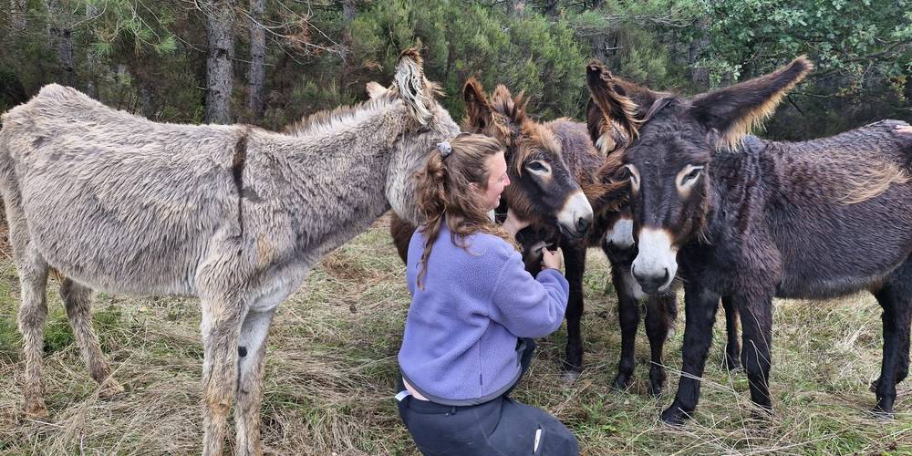 Les mamans de l'année 2025 :) -  LOC D'ÂNES (Occitanie, Aude)