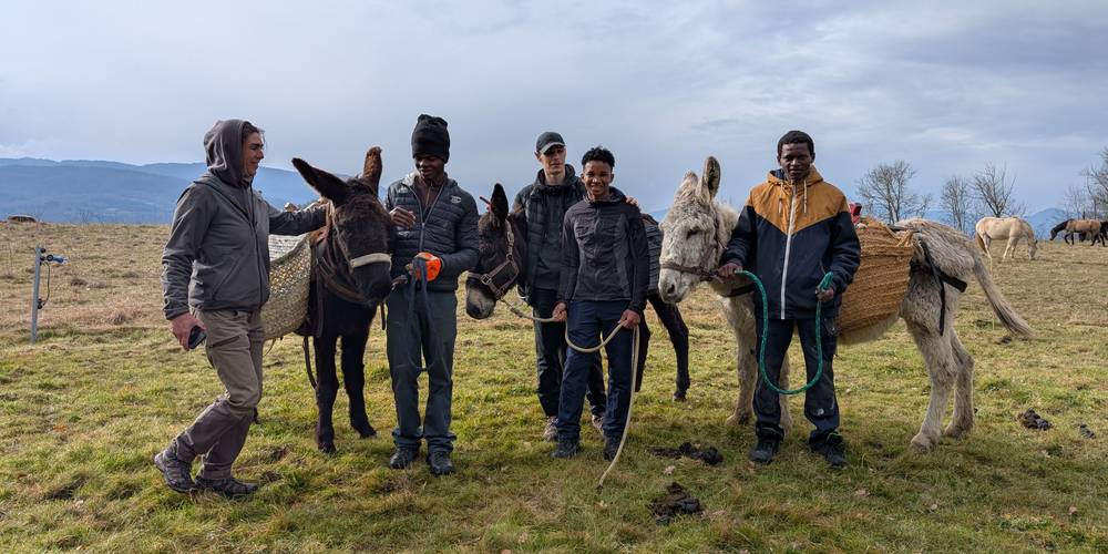 Activité : Groupe à la demi-journée : visite de ferme & accompagnement des ânes -  LOC D'ÂNES (Occitanie, Aude)
