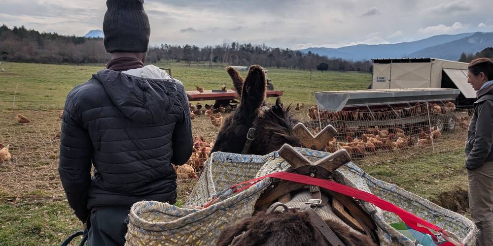 Activité : Visite de ferme combinant l'introduction à la randonnée avec l'âne & l'agriculture régénératrice -  LOC D'ÂNES (Occitanie, Aude)