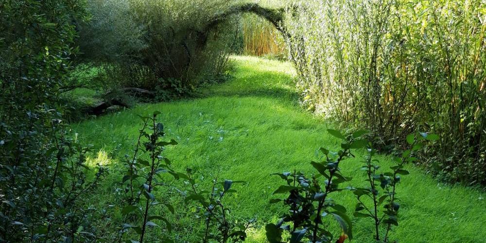 OSERAIE -  Les sentiers de l'abondance (Provence-Alpes-Côte d’Azur, Bouches-du-Rhône)