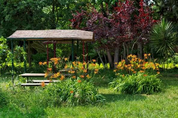 JARDIN -  Les sentiers de l'abondance (Provence-Alpes-Côte d’Azur, Bouches-du-Rhône)