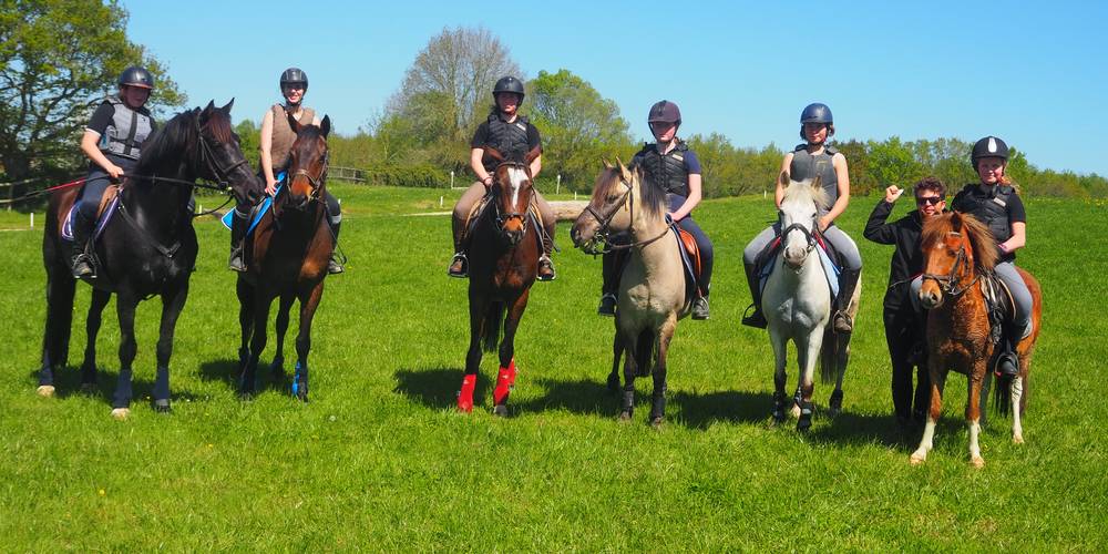  Haras L Fief (Pays de la Loire, Maine-et-Loire)