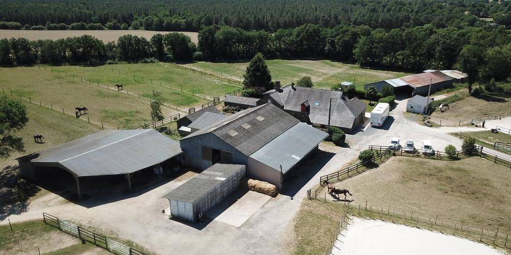  Haras L Fief (Pays de la Loire, Maine-et-Loire)