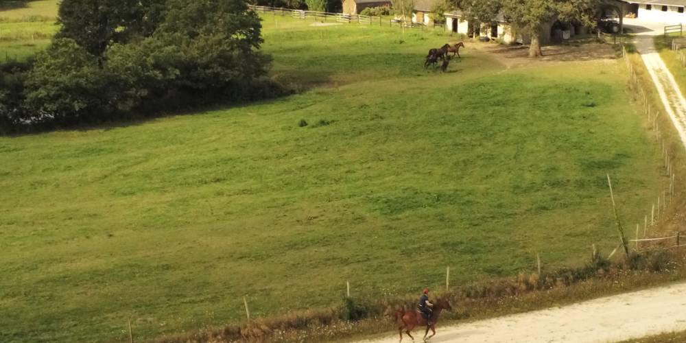  Haras L Fief (Pays de la Loire, Maine-et-Loire)