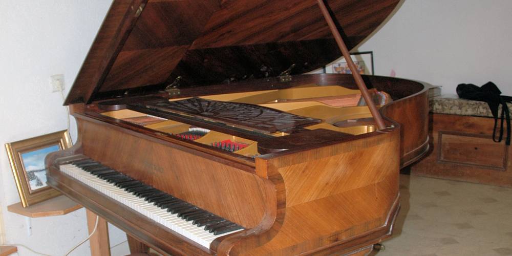 piano -  Domaine des Coteaux du Val de Sorne (Bourgogne-Franche-Comté, Jura)