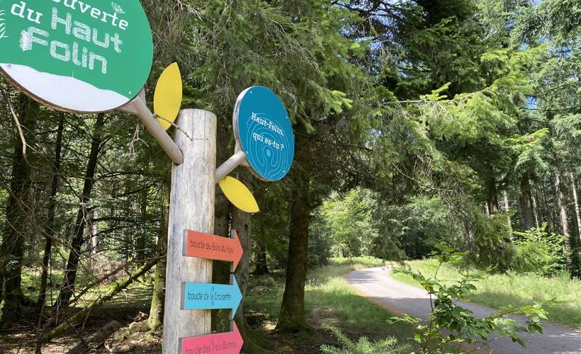 Au bois du Haut Folin -  Au bois du Haut Folin (Bourgogne-Franche-Comté, Saône-et-Loire)