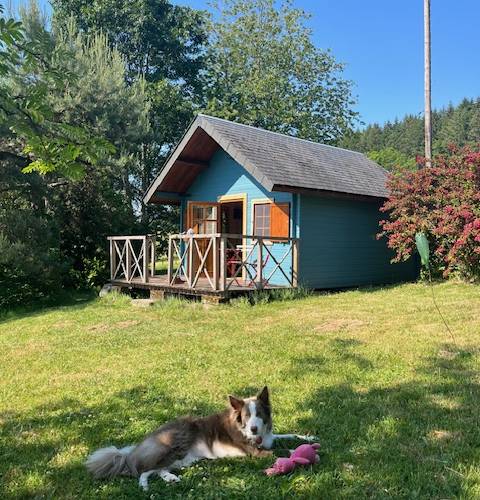 Cabane Au bois du Haut Folin -  Au bois du Haut Folin (Bourgogne-Franche-Comté, Saône-et-Loire)