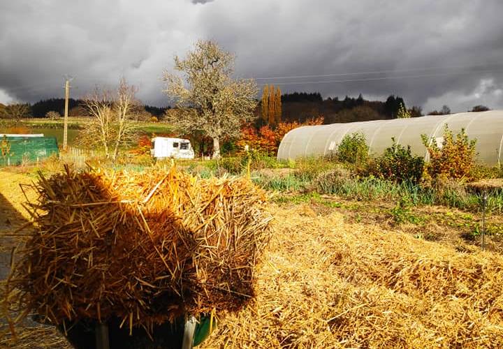  La mini-ferme du Morvan (Bourgogne-Franche-Comté, Saône-et-Loire)