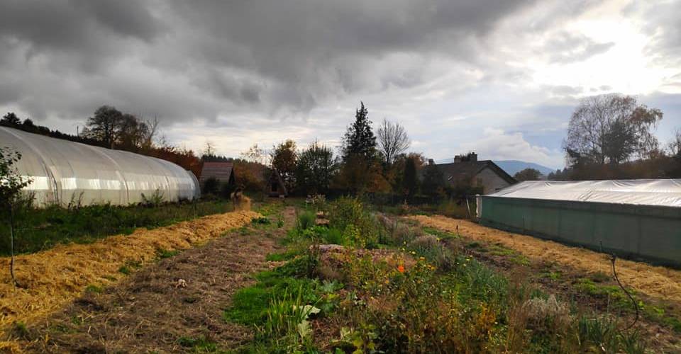  La mini-ferme du Morvan (Bourgogne-Franche-Comté, Saône-et-Loire)