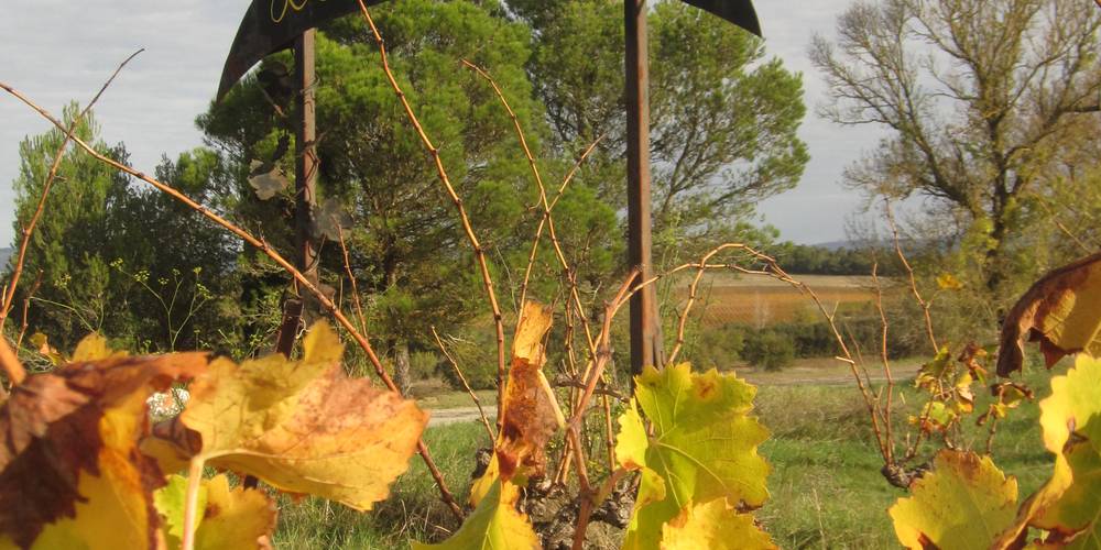 Enseigne du domaine, tournez à gauche, vous êtes arrivés -  LA VENTAILLOLE (Occitanie, Aude)