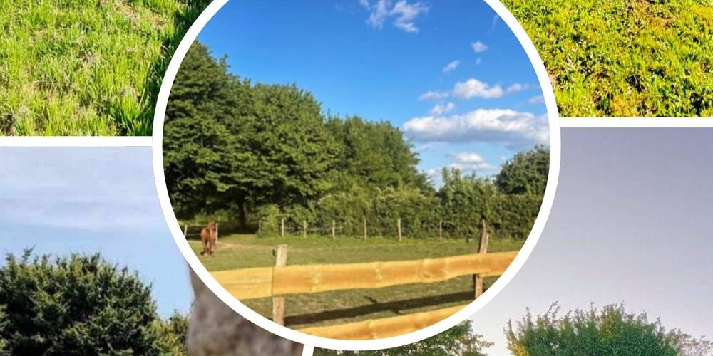 NOMBREUX GRANDS ESPACES VERTS POUR RESSOURCEMENT -  La Source de nos racines (Hauts-de-France, Nord)