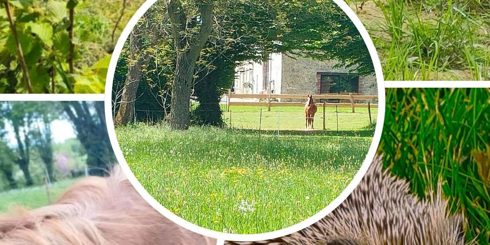 DECOUVERTE DE LA FAUNE ET DE LA FLORE LOCAL -  La Source de nos racines (Hauts-de-France, Nord)