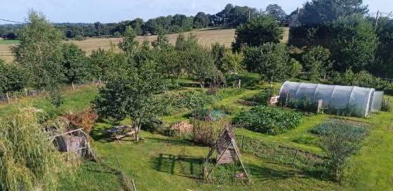Un espace en pleine campagne -  Anim’au Vert, éduc à travers (Bretagne, Ille-et-Vilaine)