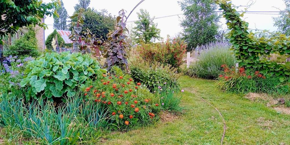 Entre légumes et fleurs -  Anim’au Vert, éduc à travers (Bretagne, Ille-et-Vilaine)