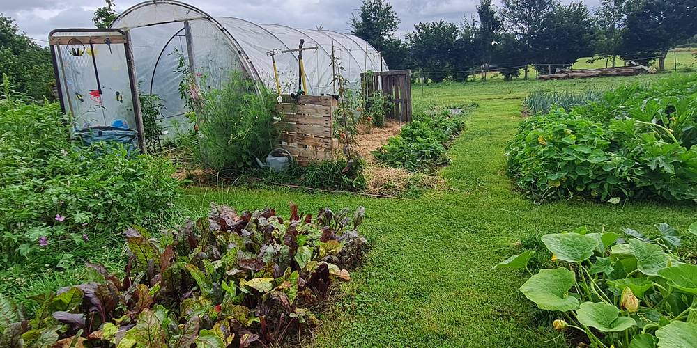Le potager au coeur du lieu -  Anim’au Vert, éduc à travers (Bretagne, Ille-et-Vilaine)
