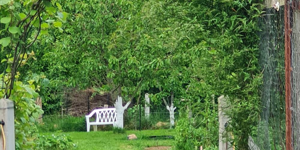 Un lieu paisible pour ralentir -  Anim’au Vert, éduc à travers (Bretagne, Ille-et-Vilaine)