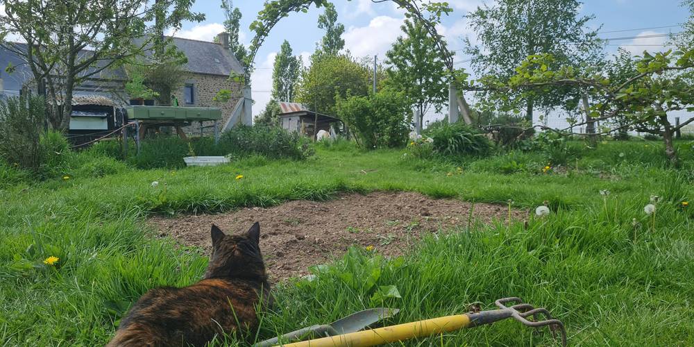 Entre jardin et contemplation -  Anim’au Vert, éduc à travers (Bretagne, Ille-et-Vilaine)