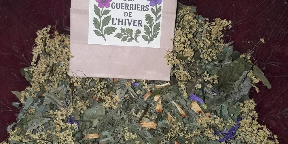  La ferme aux tisanes (Nouvelle-Aquitaine, Dordogne)